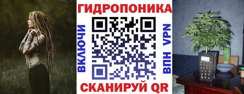 Конопля White Widow  блэк спрут   Дальнегорск  купить наркотик 